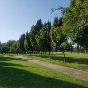 Happy Friday! 8.17.18