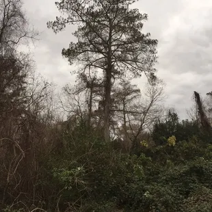 Step outside, quiet park with a nature trail on the Westbank.