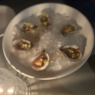 Oysters