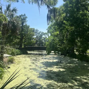City Park
