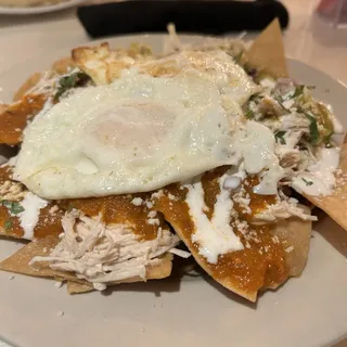 Chilaquiles Grey Moss