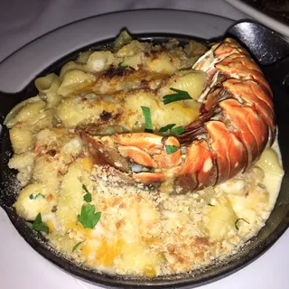 LOBSTER MAC & CHEESE