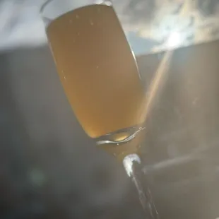 Mimosa