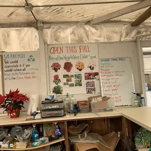 Behind front counter