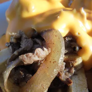 Loaded Philly Fries, close-up.