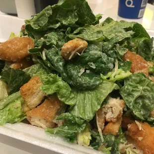 Chicken Caesar Salad