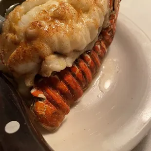 South African Rock Lobster Tail