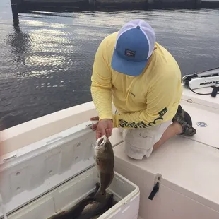 Putting another one in the cooler