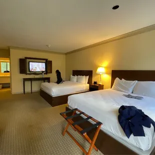 Our room with the pond view with balcony. This room says 4 people but you can fit six. The couch is a pull out sofa. Green wing