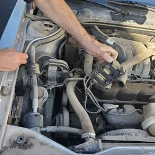 Griffith Automotive