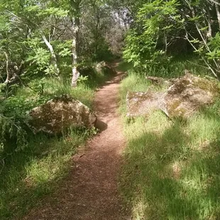 Trail