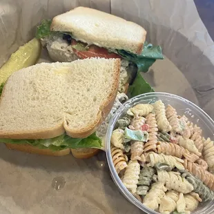 Chicken Salad Sandwich with Pasta Salad