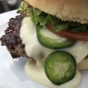 Southwest Burger -  awesome!!