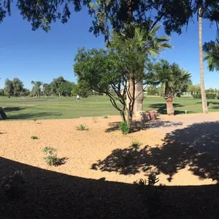 View from our table looking out at the golf course.