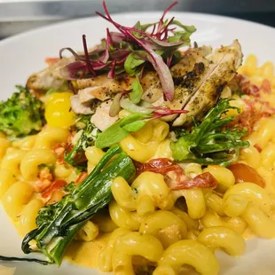 Cavatappi Pasta with Grilled Chicken, Broccolini, Sun-dried Tomatoes &amp; Goat Chèvre Cream Sauce