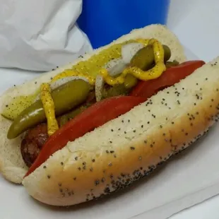 Chicago dog