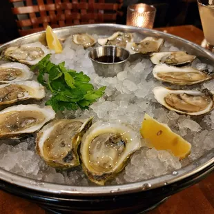 Plate of oysters. Well shucked,  juicy and delicious.