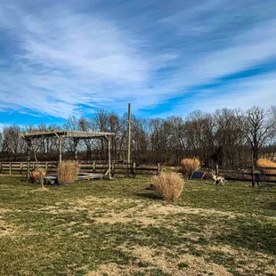 a view of the back yard of the winery