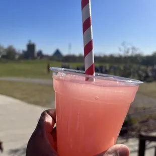 Strawberry Slushee