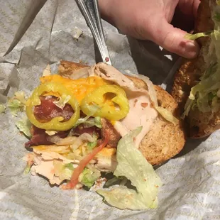 a person holding a sandwich