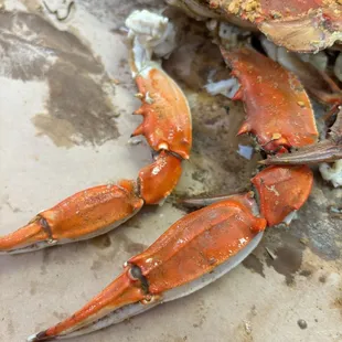 I paid $100 for JUMBO crabs and received two crabs medium size crabs.