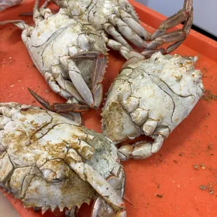 I paid $100 dollars for a dozen of Jumbo crabs and 4 crabs out of 12 had NO CLAWS AT ALL!!!