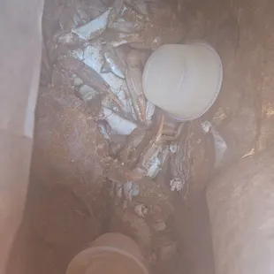 Dozen females with melted butter and extra seasoning