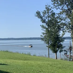 Bringing in fresh crabs