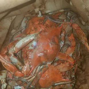 Heavy and oh so good!!