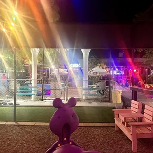 Inside view from the bark park