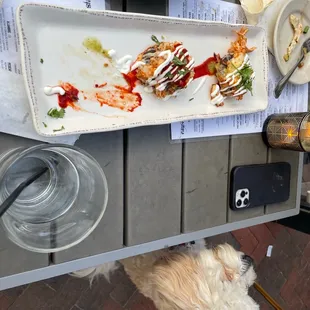They let dogs sit in their patio! Also he was mighty tempted by the  Chicken Sopes.