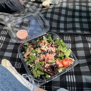 a salad in a plastic container on a picnic blanket