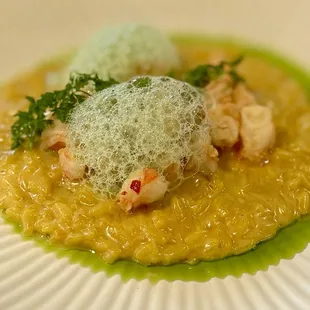 Shrimp and saffron risotto with fresh herbed foam.