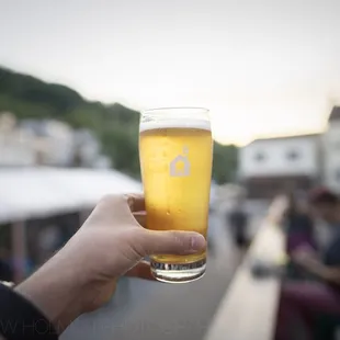 Cold IPA