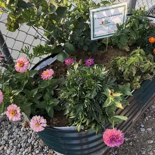 Grow Pittsburgh container flower garden outfitting   outdoor space