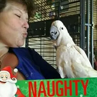 Debbie C.