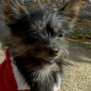 Tiny loves Grocery Outlet, formally 24HR Fitness