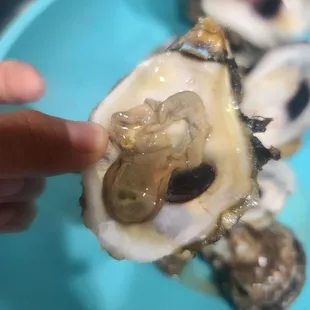 Already bad, brown, not plump. Unsafe to consume.