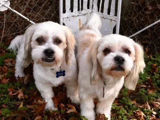 Hugs And Scrubs, LLC