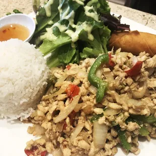 Lunch Special Spicy Basil Chicken