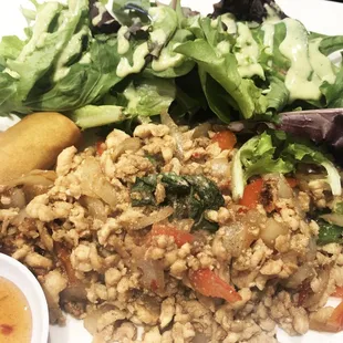 Lunch Special Spicy Basil Chicken