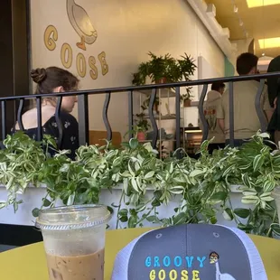 Iced Vanilla Latte and a Groovy Goose Hat!