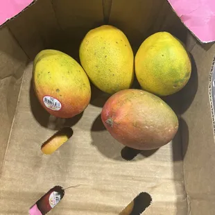Mangoes!