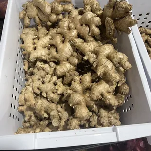 Ginger!