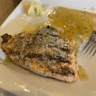 Salmon
