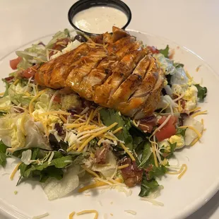 Buffalo-style chicken club salad