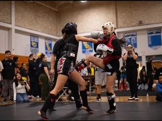 Revolution Combat Academy