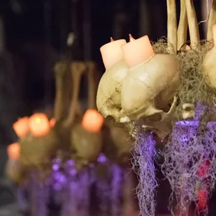 candles and skulls hanging from the ceiling