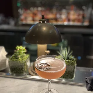 a cocktail in a coupe glass