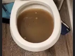 Lakeside Village Apts